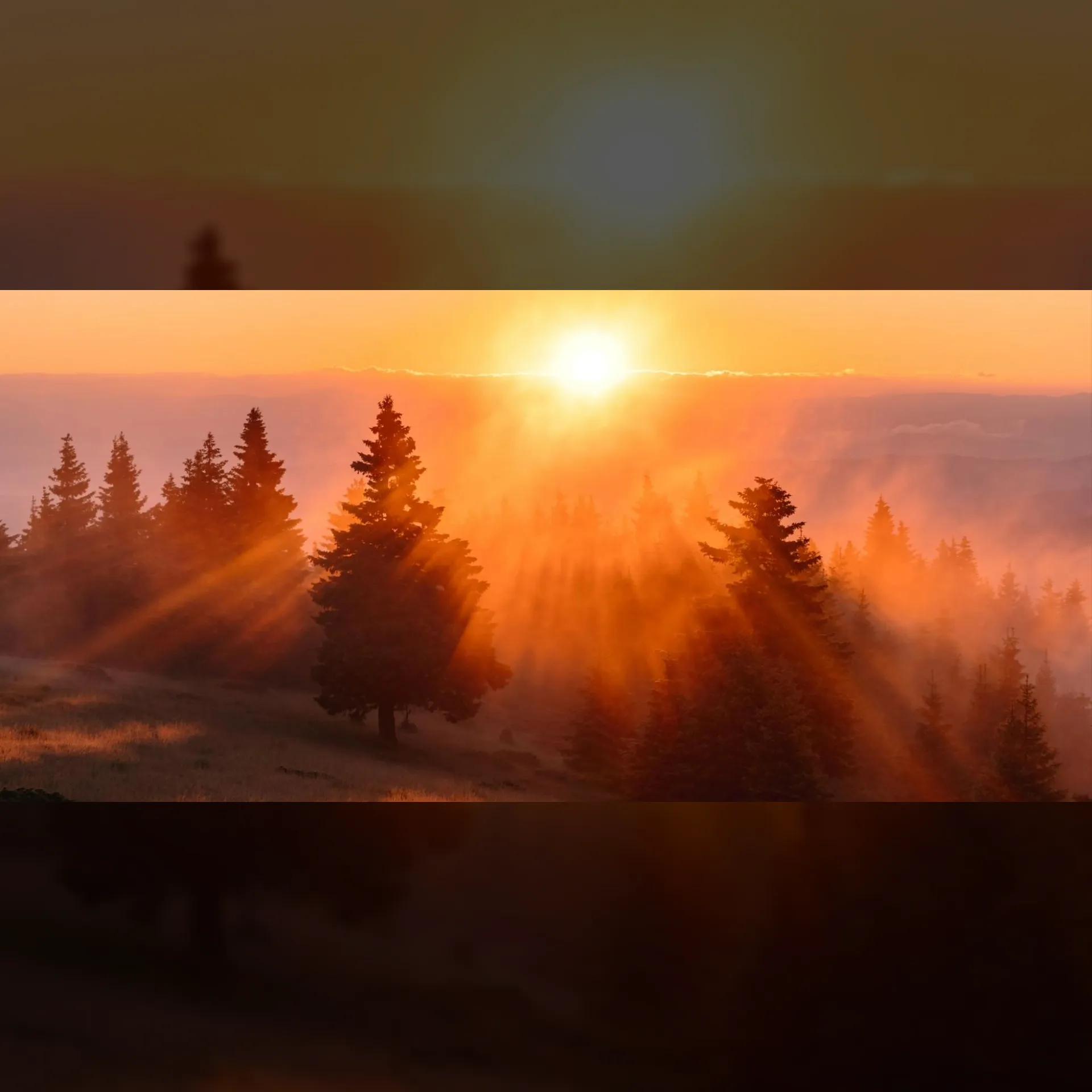 Yannick: Wagner and Schumann